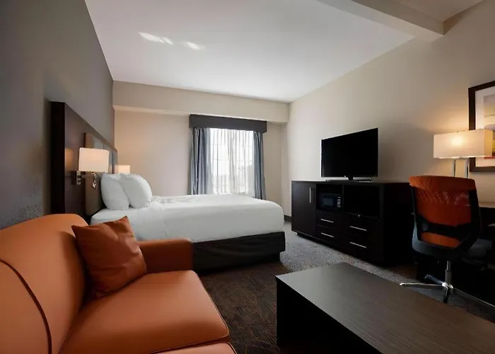 Beach Hotels Best Western Plus Executive Inn